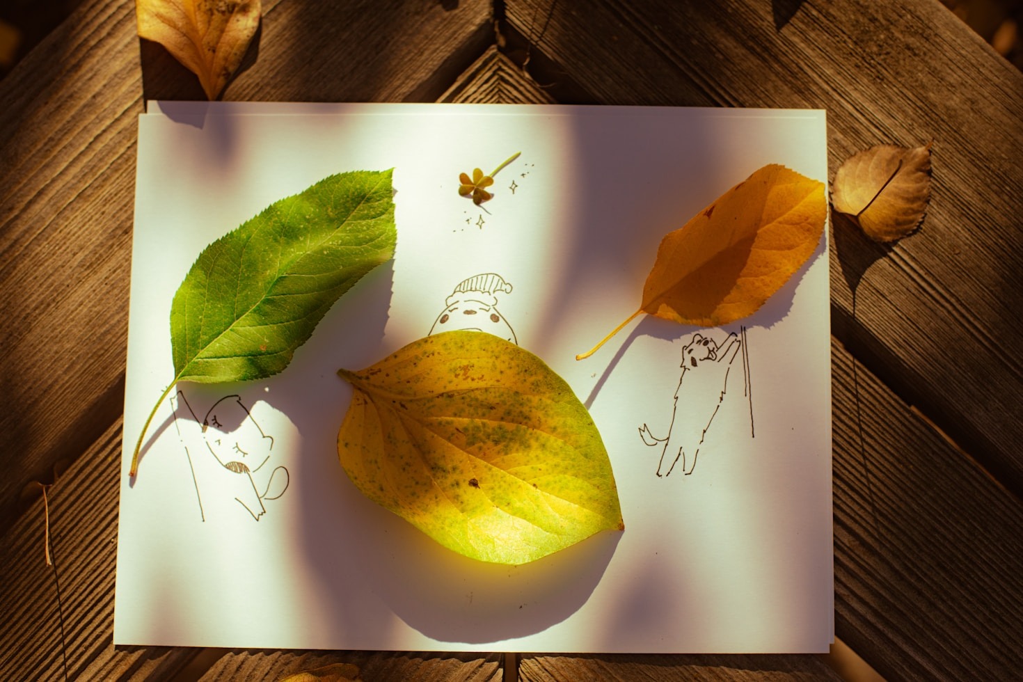 Unique Perspectives in Artistic Expression